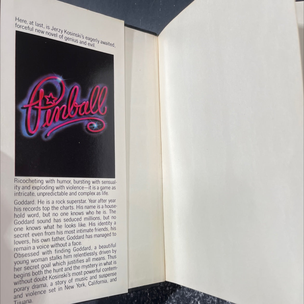 pinball book, by Jerzy Kosinski, 1982 Hardcover image 4