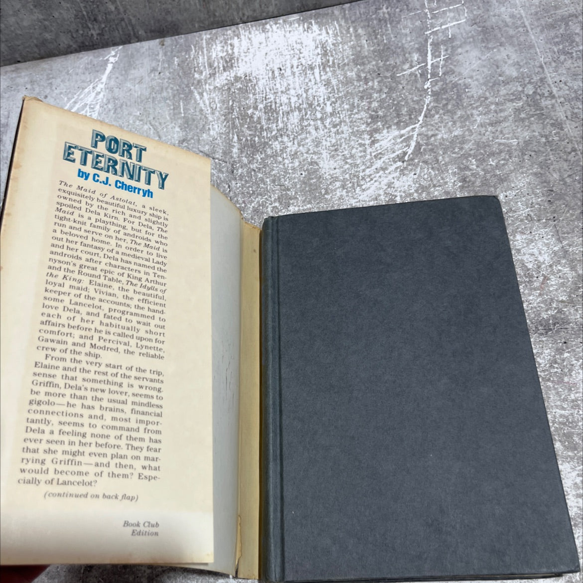 port eternity book, by c. j. cherryh, 1982 Hardcover image 4