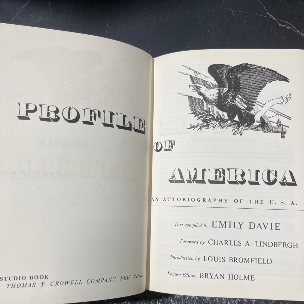 profile studio book of a america book, by emily davie, 1954 Leather image 2
