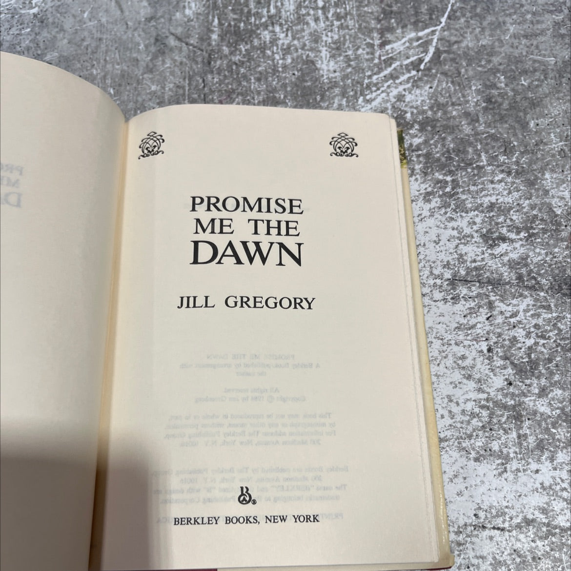promise me the dawn book, by Jill Gregory, 1984 Hardcover image 2