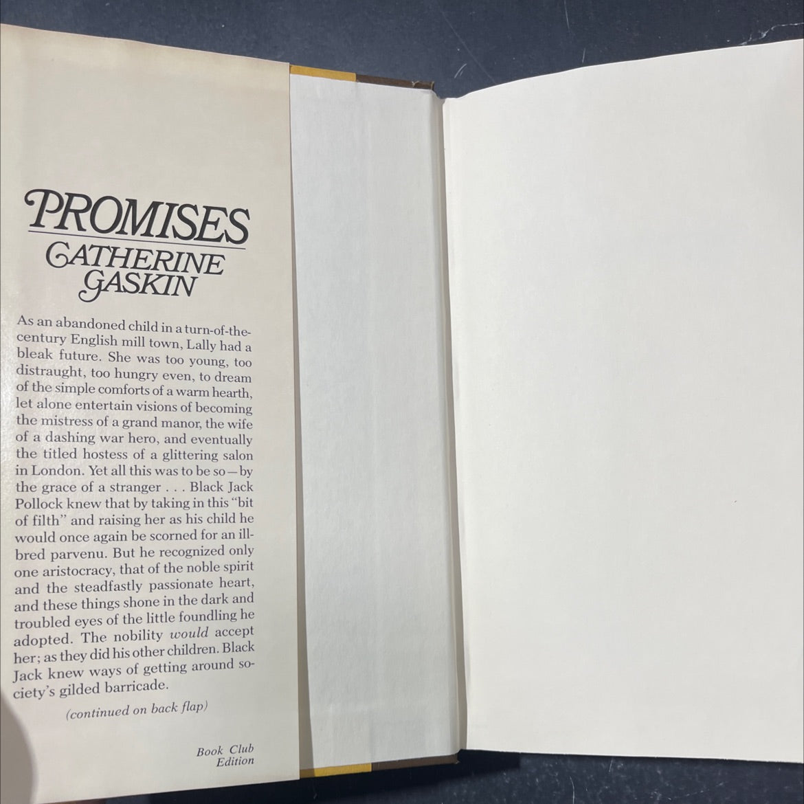promises book, by catherine gaskin, 2018 Hardcover image 4
