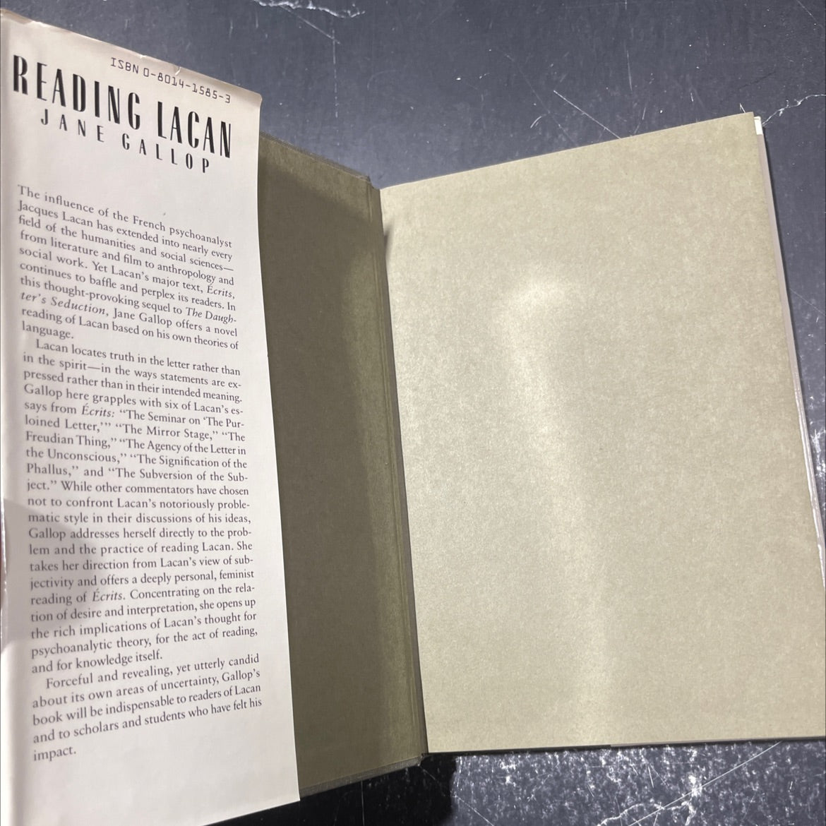 psychoanalysis, blanchot, and reading lacan book, by jane gallop, 1985 Hardcover image 4