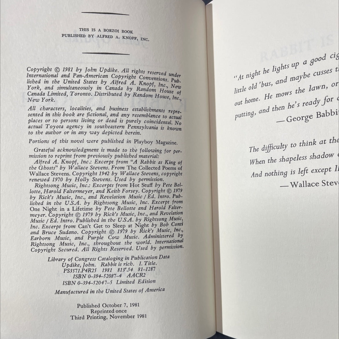 rabbit is rich book, by John Updike, 1981 Hardcover image 3