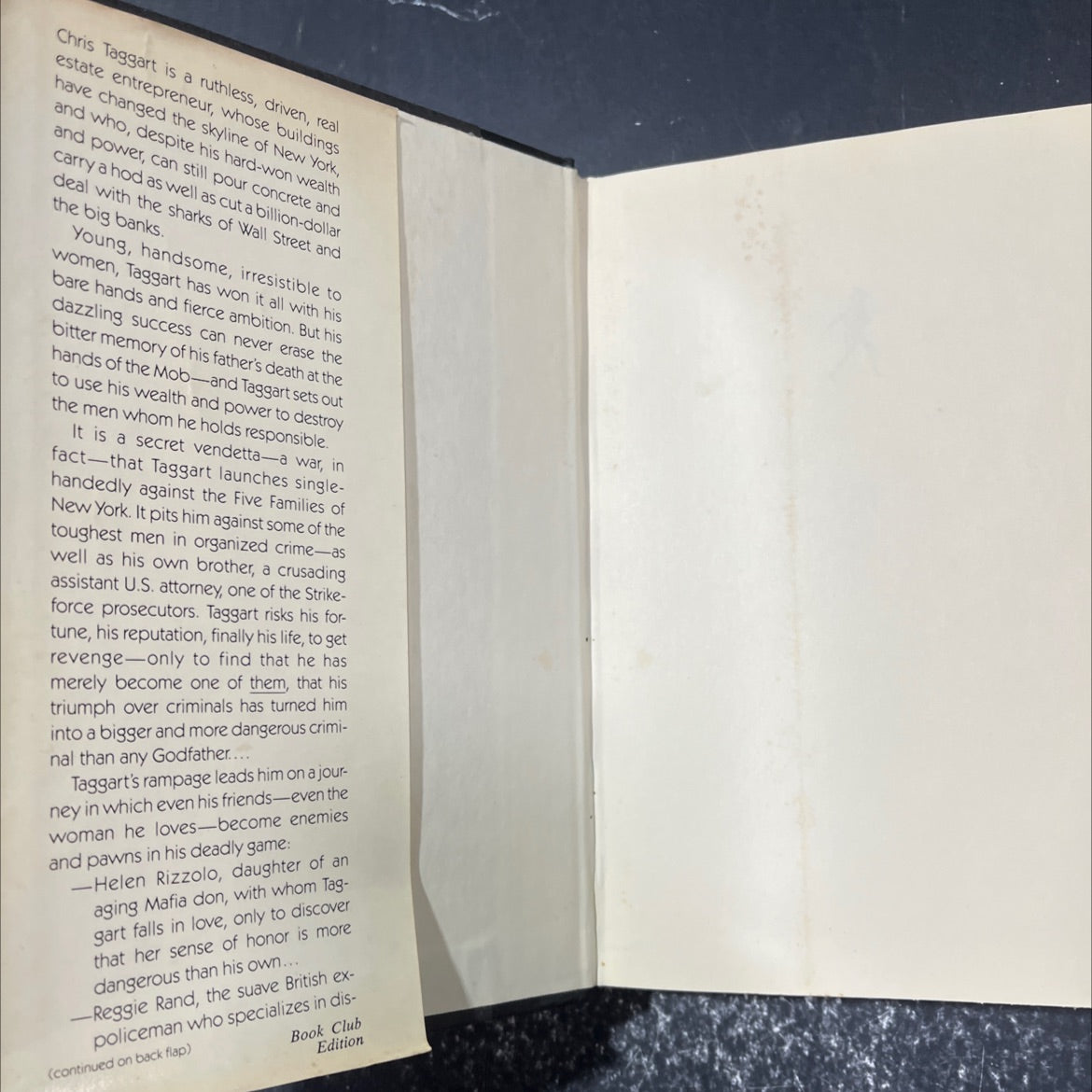rampage book, by justin scott, 1985 Hardcover image 4