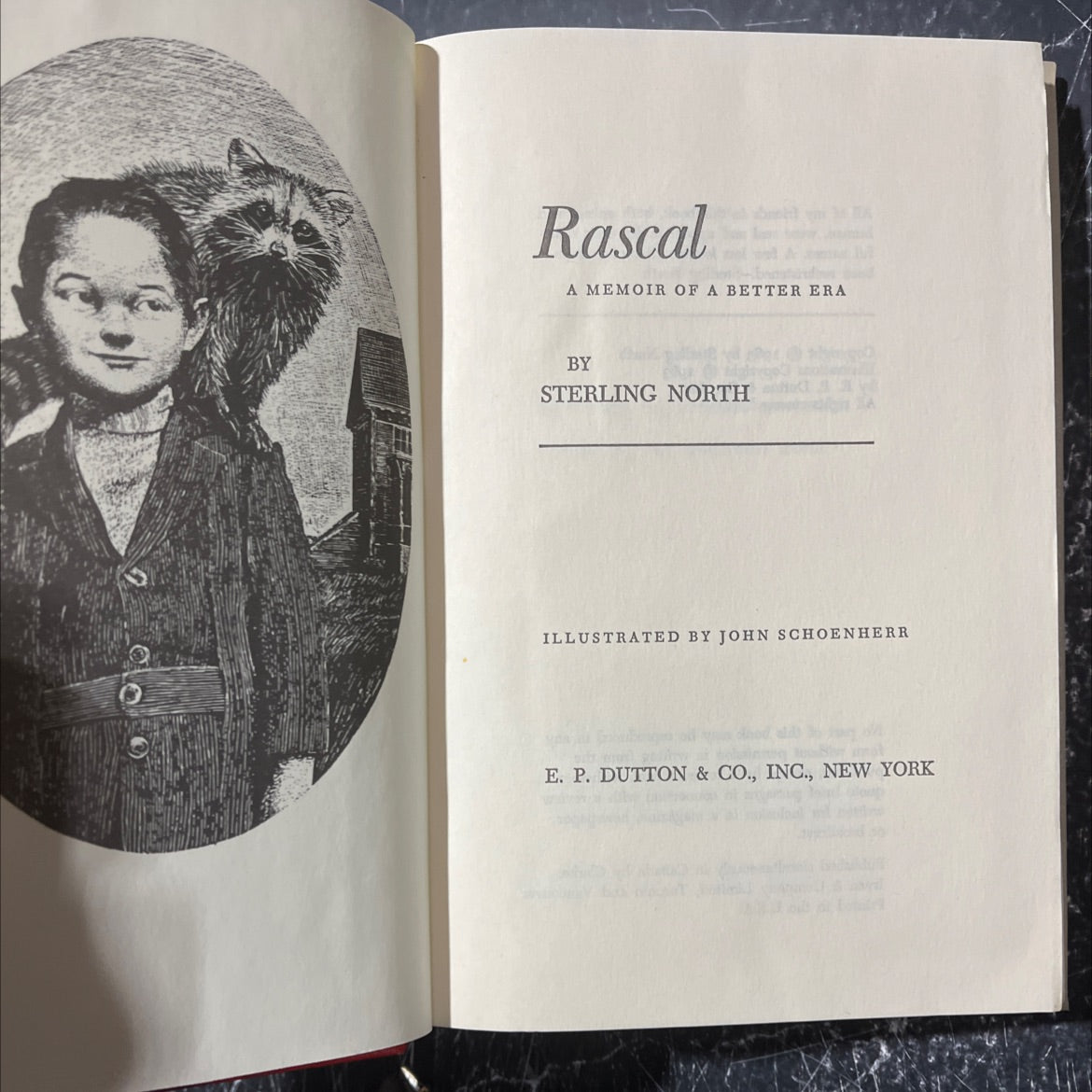 rascal a memoir of a better era book, by sterling north, 1963 Hardcover image 2