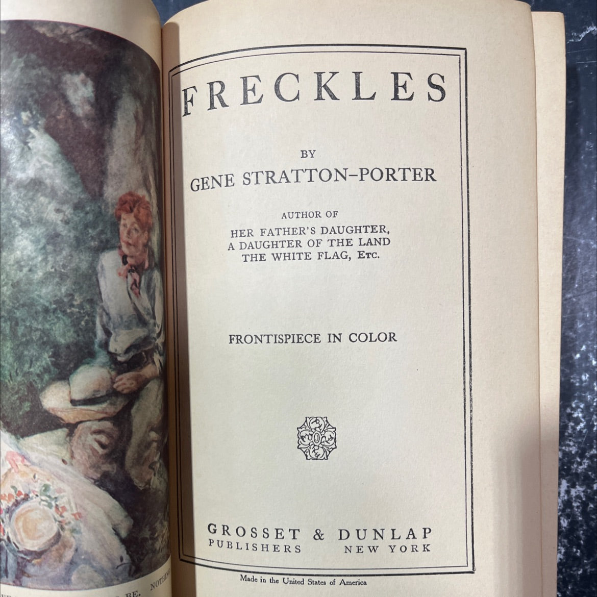 re nothin freckles book, by gene stratton-porter, 1916 Hardcover image 2