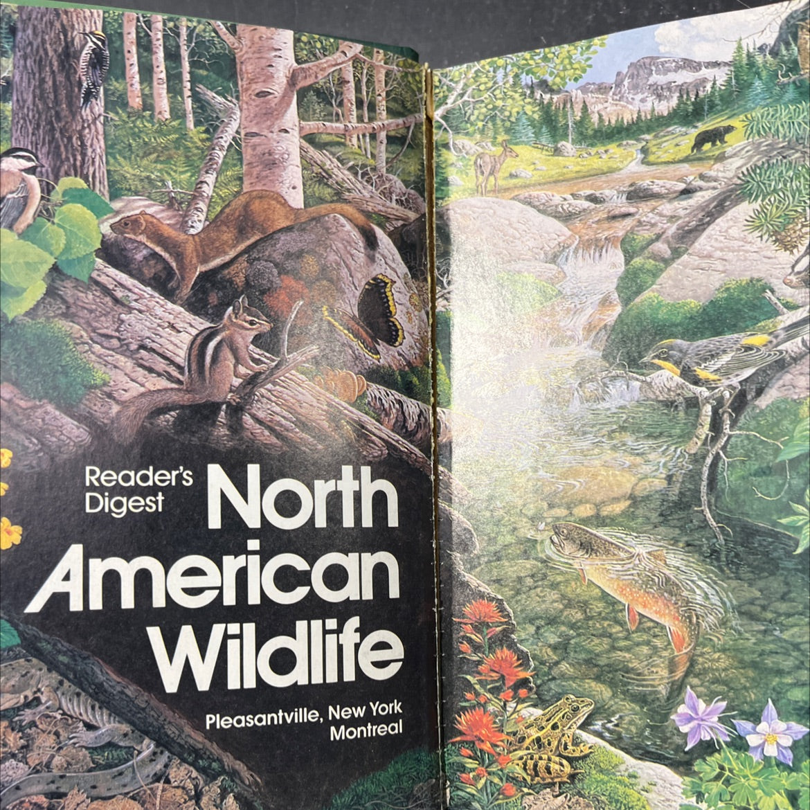 reader's digest north american wildlife book, by susan j. wernert, 1982 Hardcover image 2