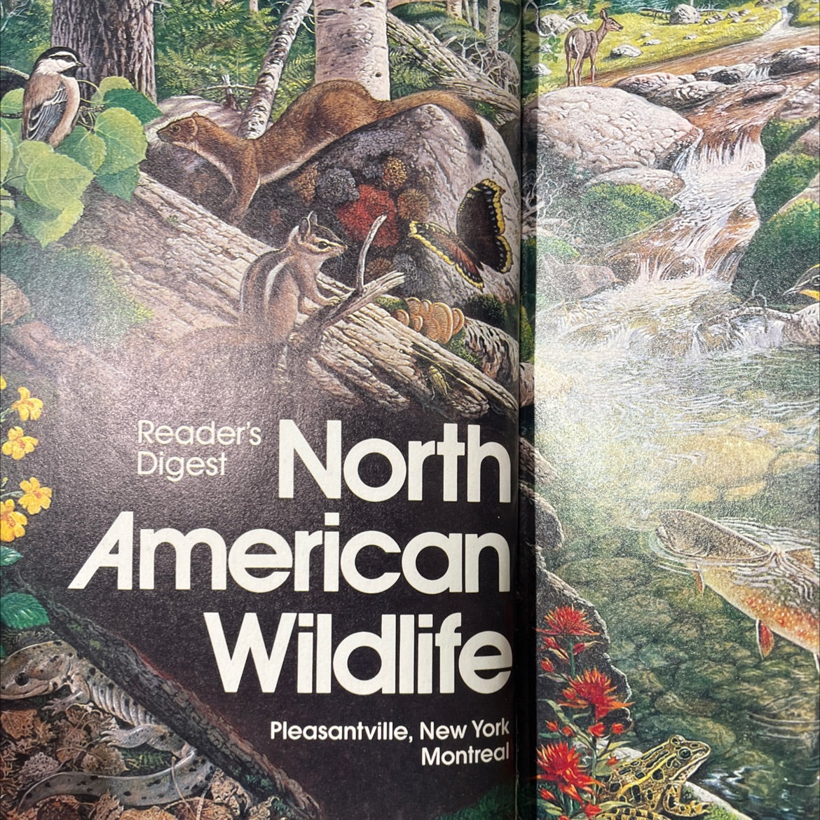 reader's digest north american wildlife book, by Georgea Atkinson Pace, John Hamberger, William H. Howe, Robert Jones, image 2