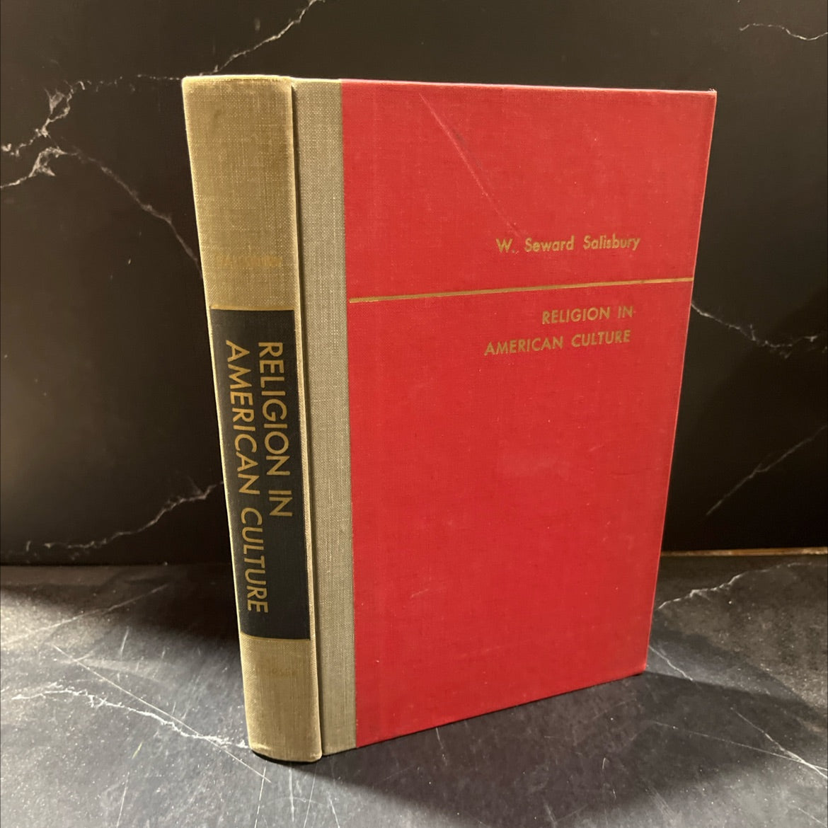 religion in american culture a sociological interpretation book, by w. seward salisbury, 1964 Hardcover image 1