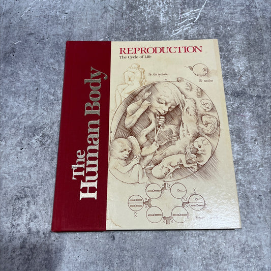 reproduction: the cycle of life book, by karen jensen, 1982 Hardcover image 1