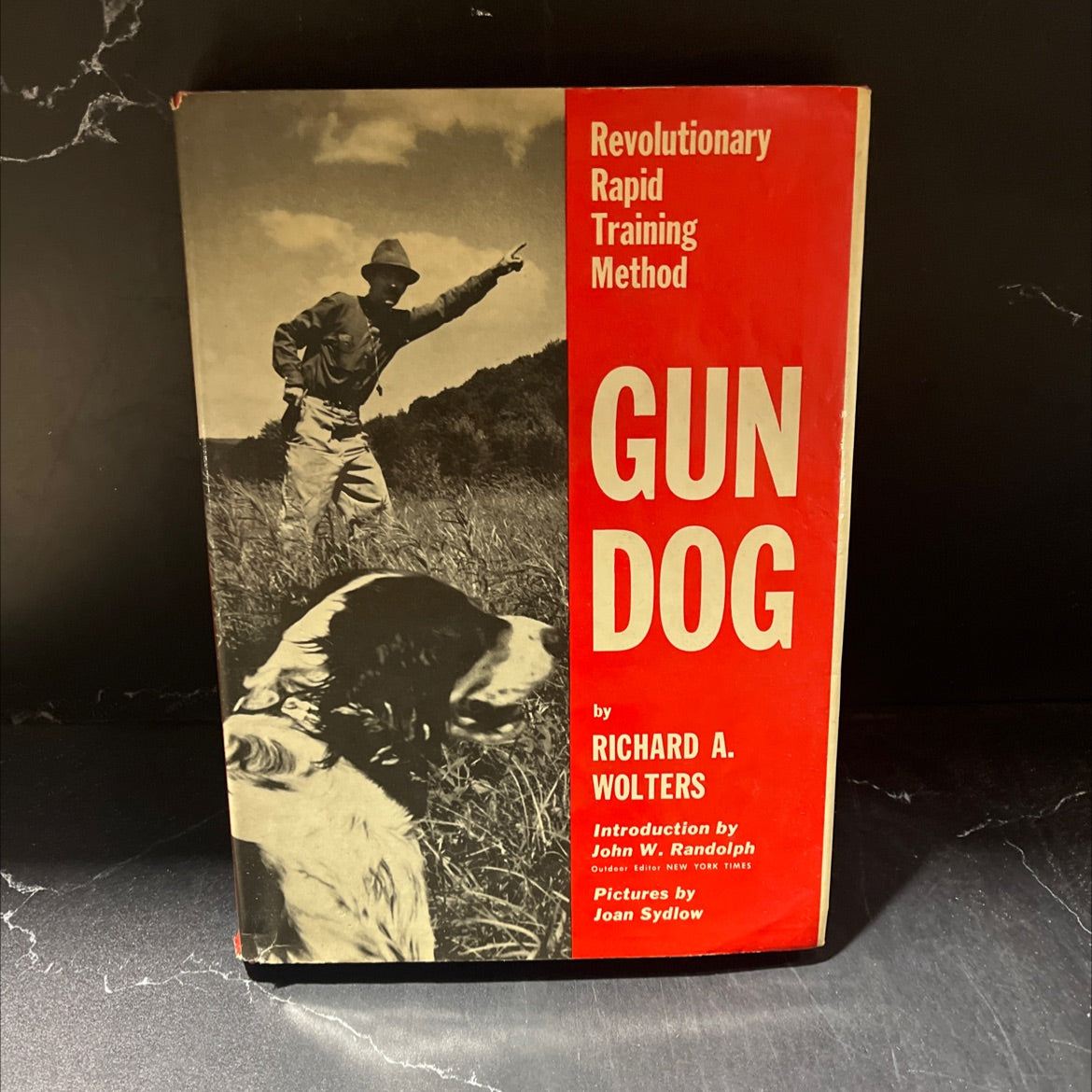 revolutionary rapid training method gun dog book, by richard a. wolters, 1961 Hardcover image 1