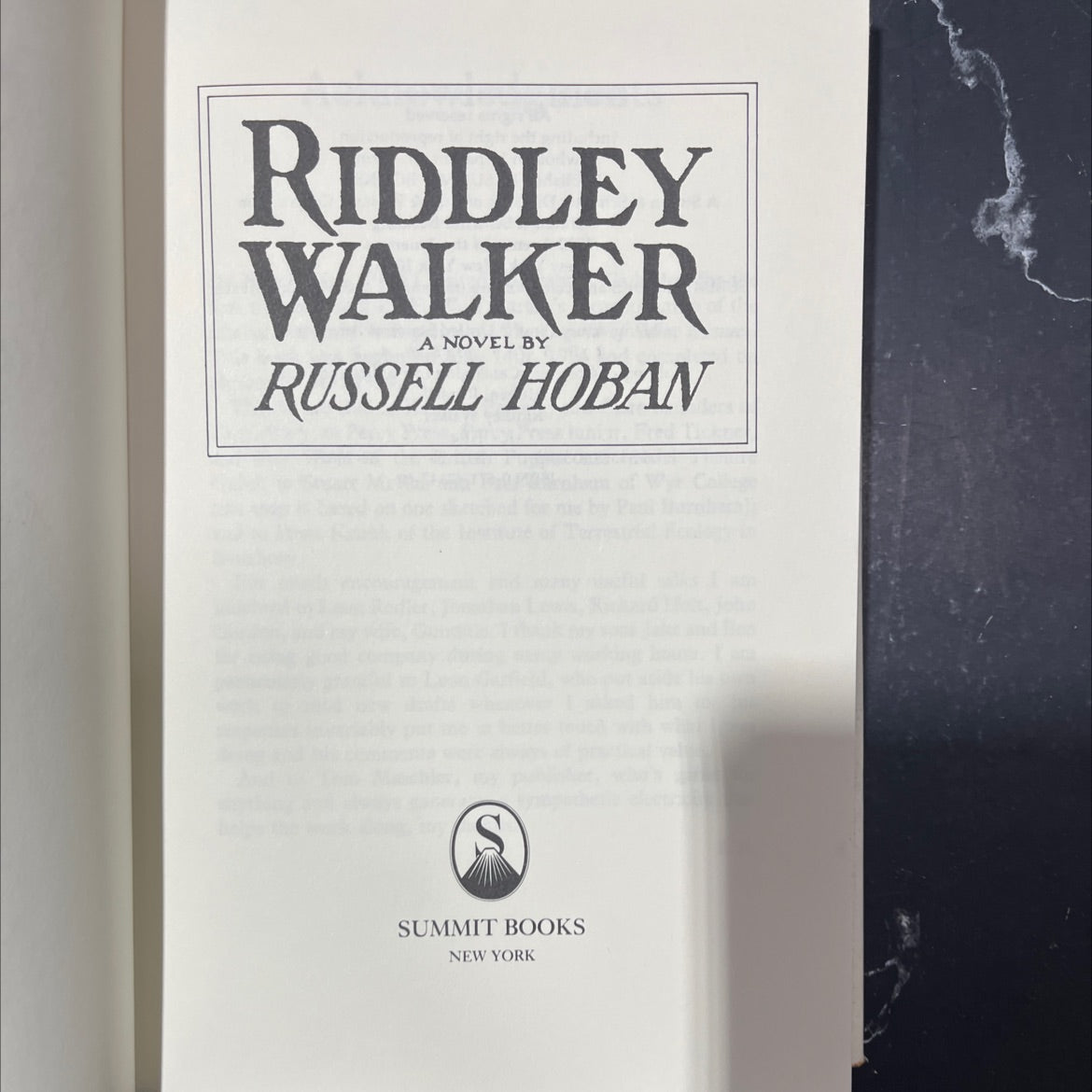 riddley walker book, by russell hoban, 1980 Hardcover image 2