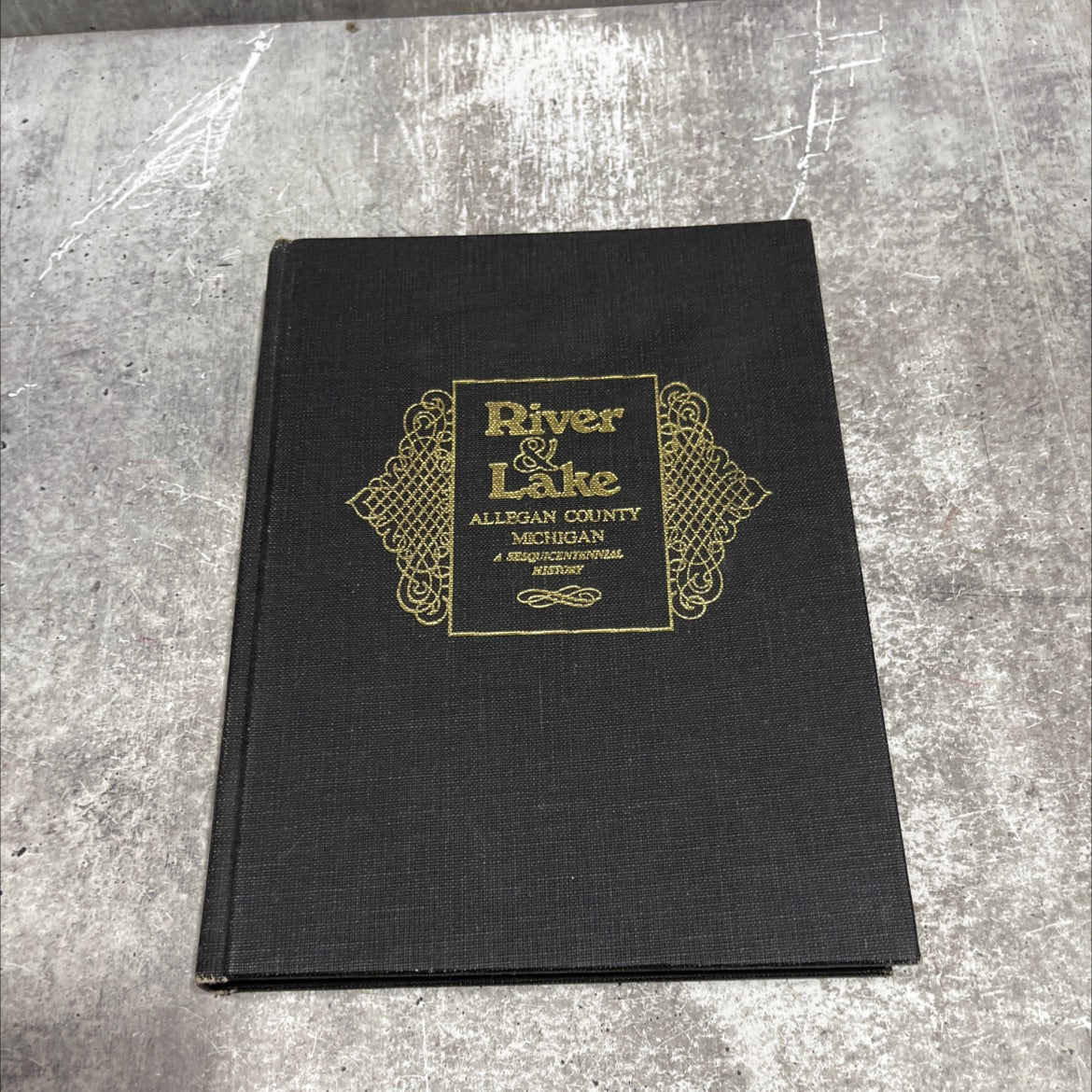 river lake a sesquicentennial history of allegan county, michigan book, by Joe Armstrong and John Pahl, 1985 Hardcover image 1