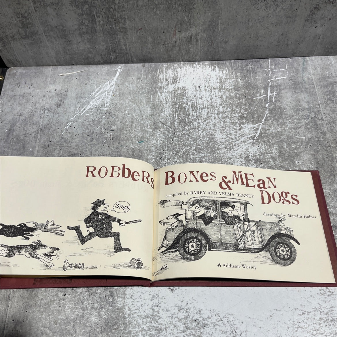 robbers, bones & mean dogs book, by Barry and Velma Berkey, 1978 Hardcover image 2