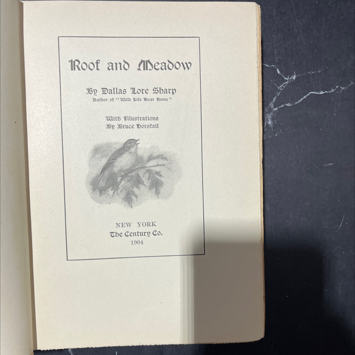 roof and deadow book, by dallas lore sharp, 1904 Hardcover image 2