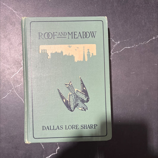 roof and deadow book, by dallas lore sharp, 1904 Hardcover image 1