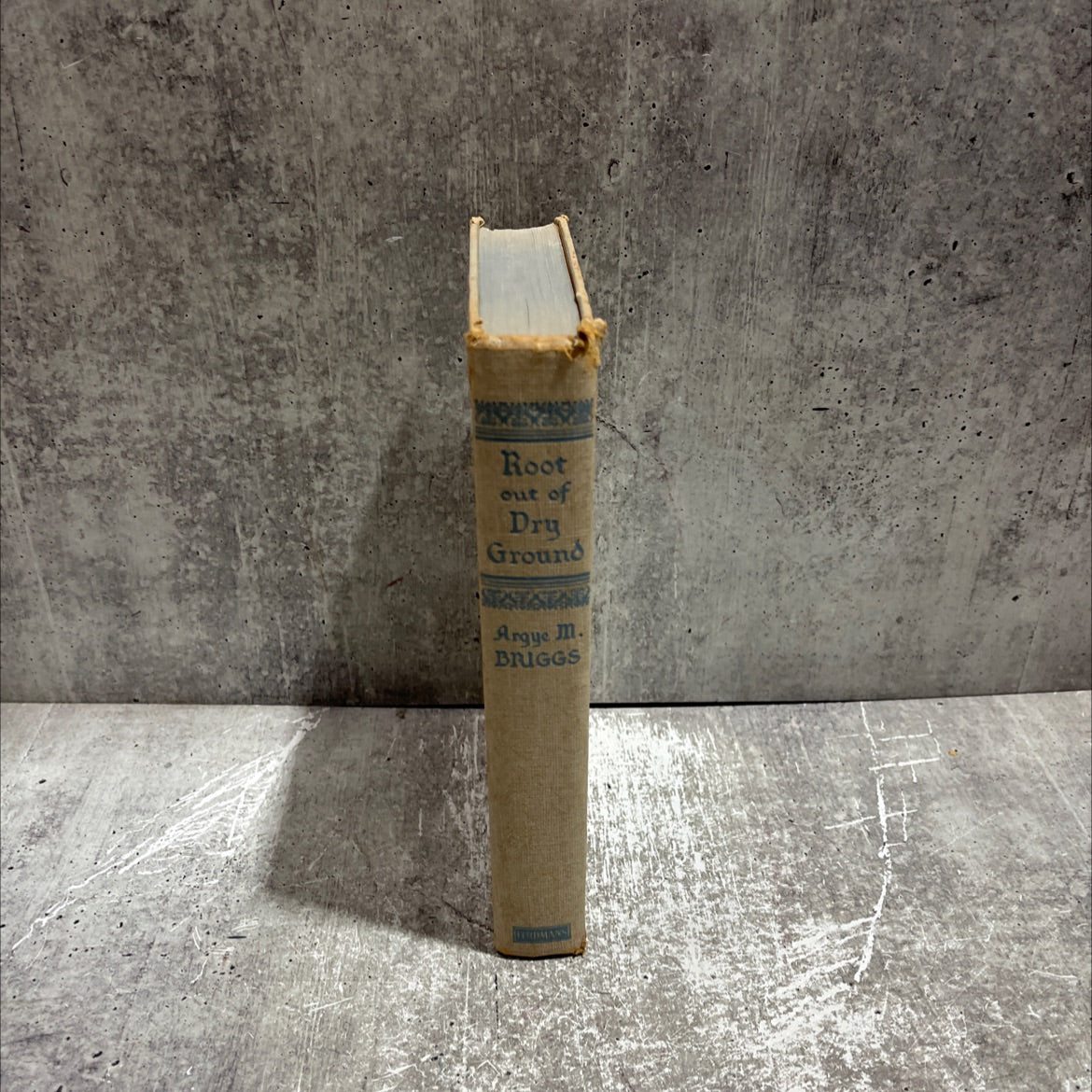 root out of dry ground book, by argye m. briggs, 1952 Hardcover image 4
