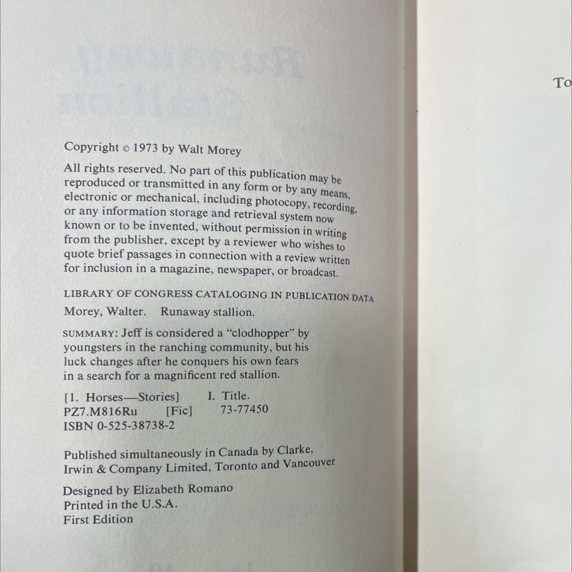 runaway stallion book, by Walt Morey, 1973 Hardcover image 3