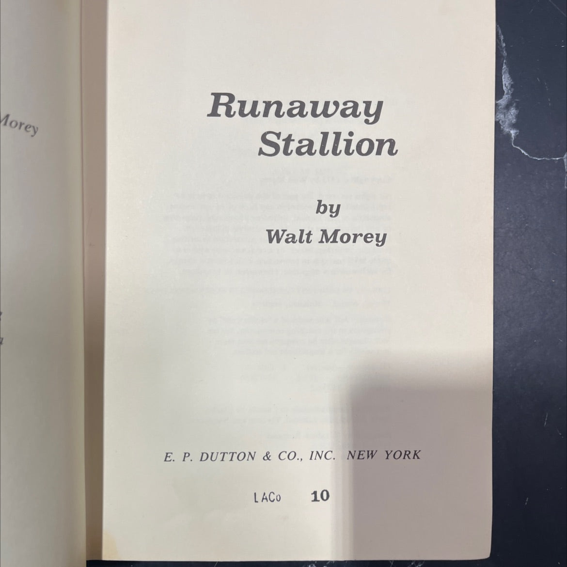 runaway stallion book, by Walt Morey, 1973 Hardcover image 2