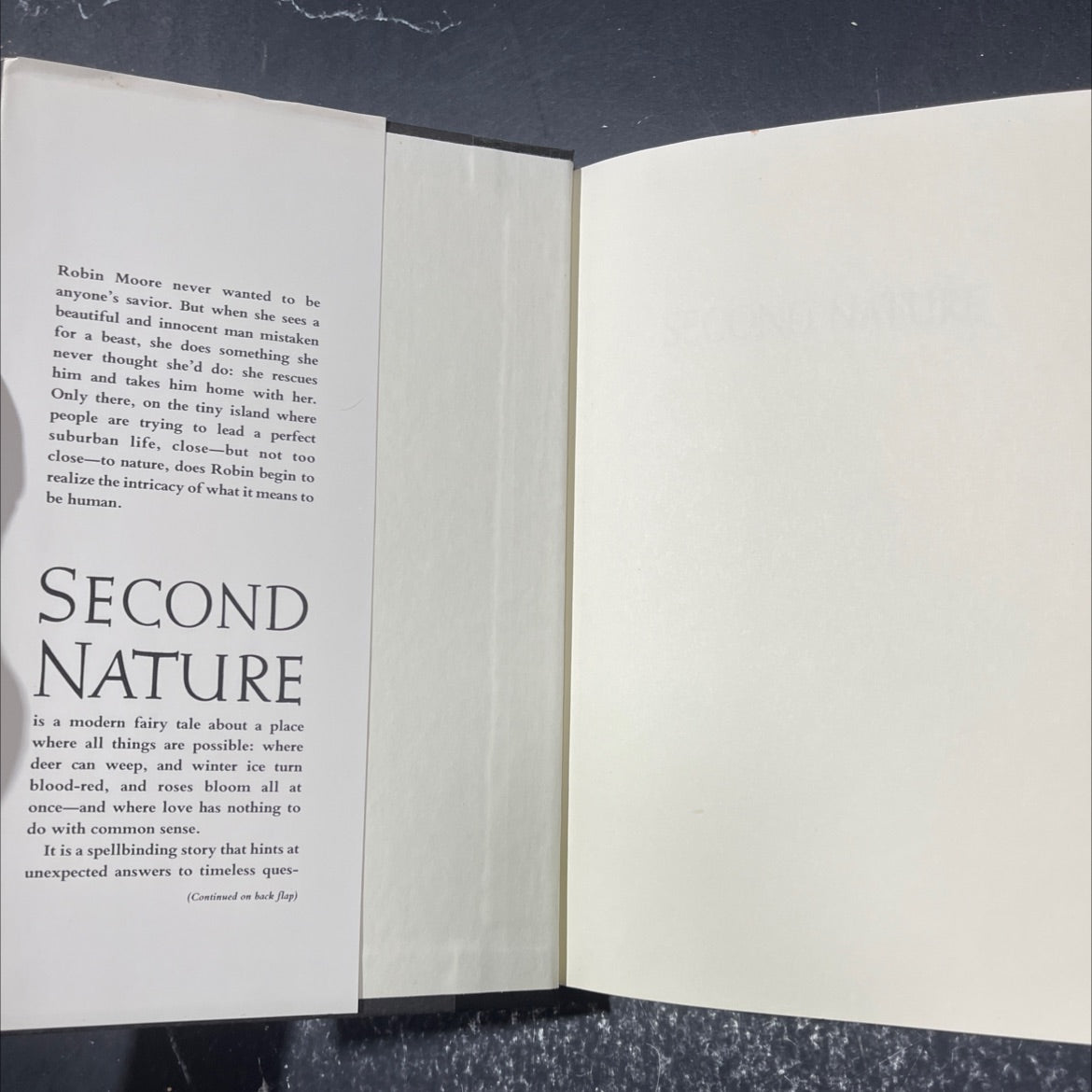 second nature book, by alice hoffman, 1994 Hardcover image 4