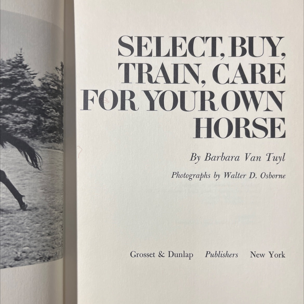 select. buy, train. care for your own horse book, by Barbara Van Tuyl, 1969 Hardcover image 2