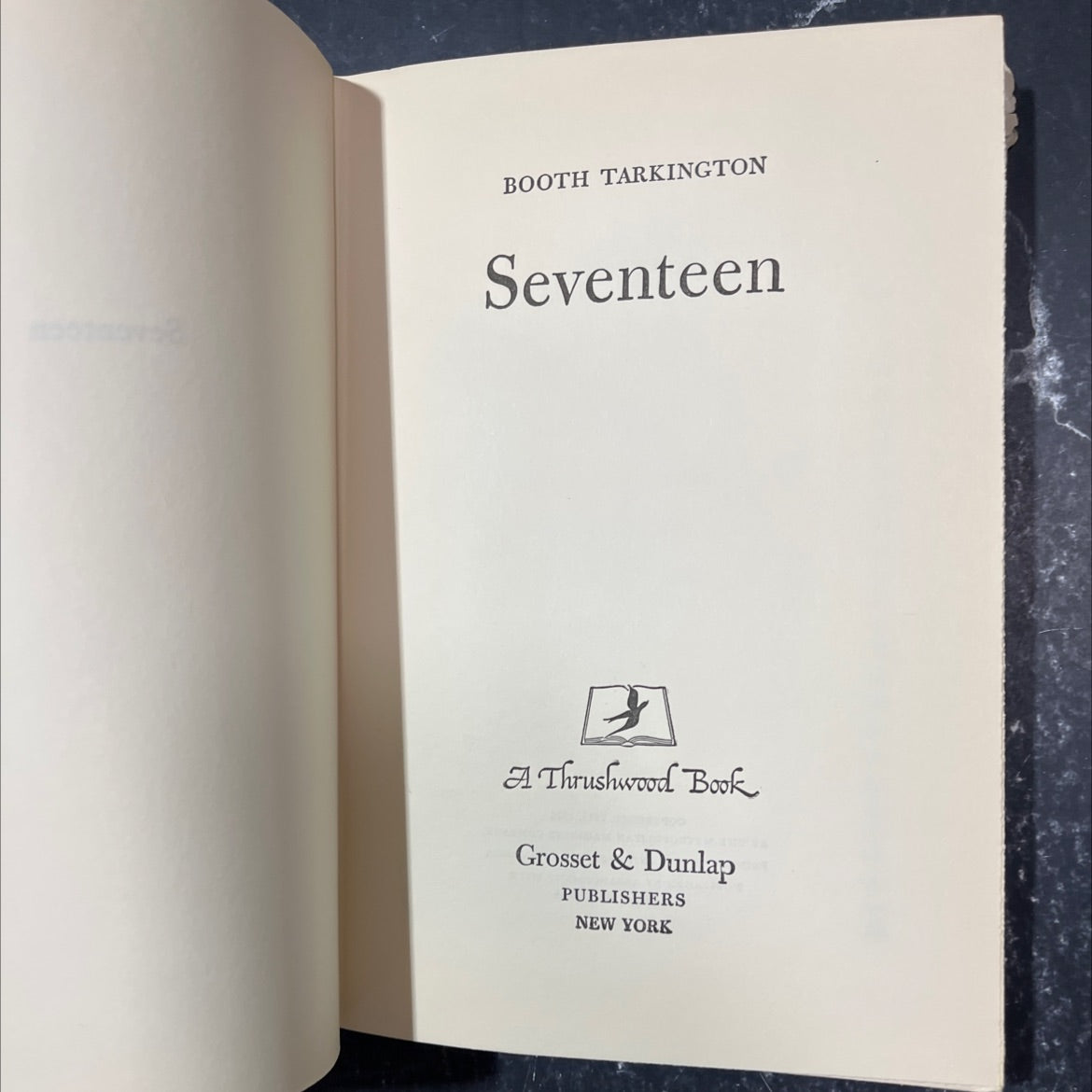 seventeen book, by booth tarkington, 1916 Hardcover image 2