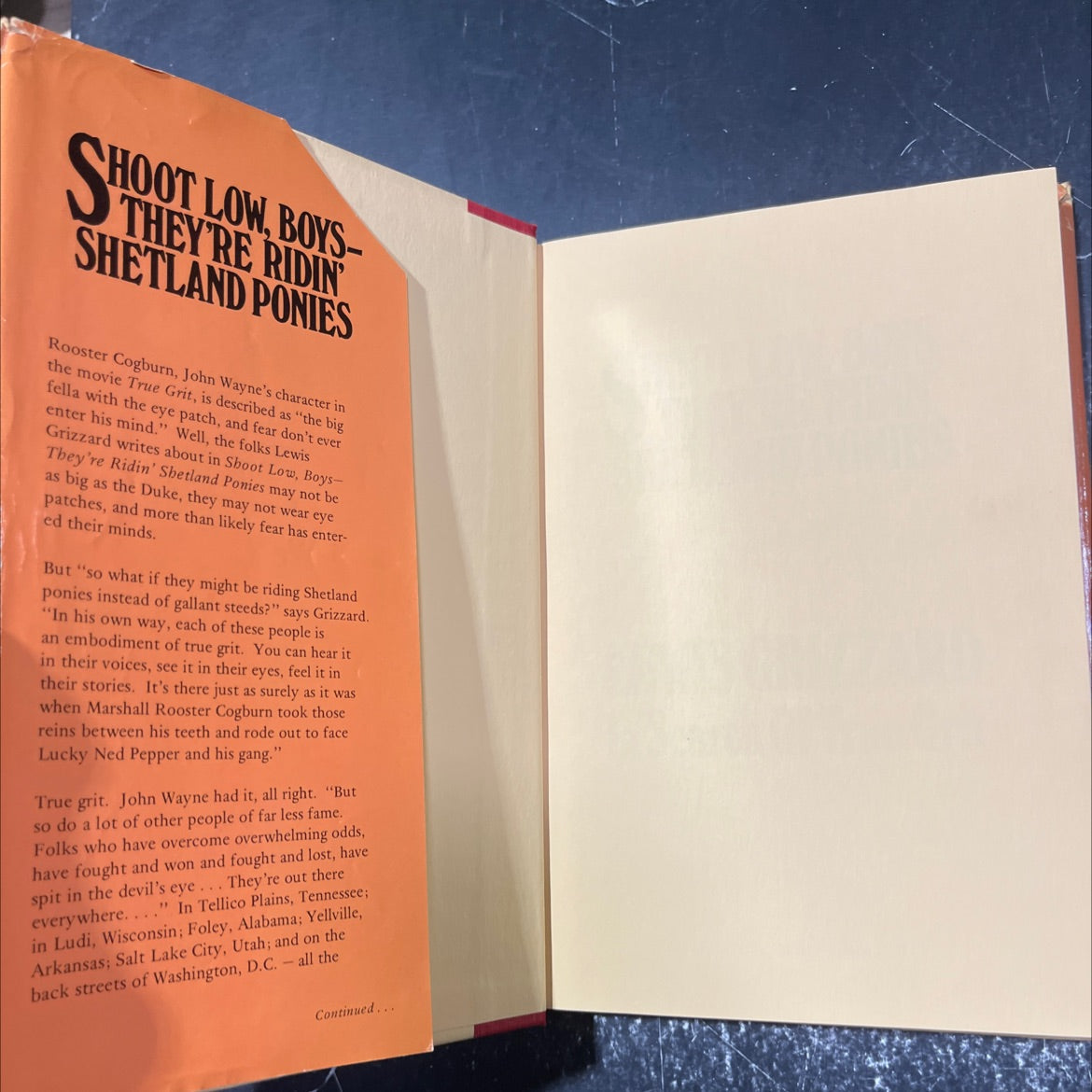 shoot hoot low, boys- they're ridin shetland ponies book, by lewis grizzard, 1985 Hardcover image 4