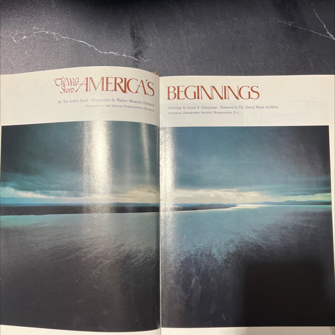 shores america's beginnings book, by tee loftin snell, 1983 Hardcover image 2