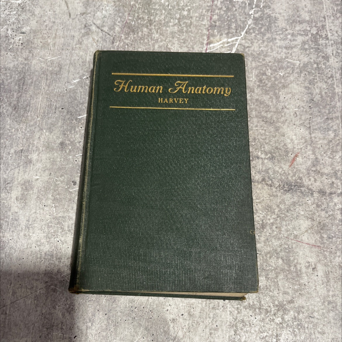 simple lessons in human anatomy book, by b. c. h. harvey, m.d., 1931 Hardcover image 1