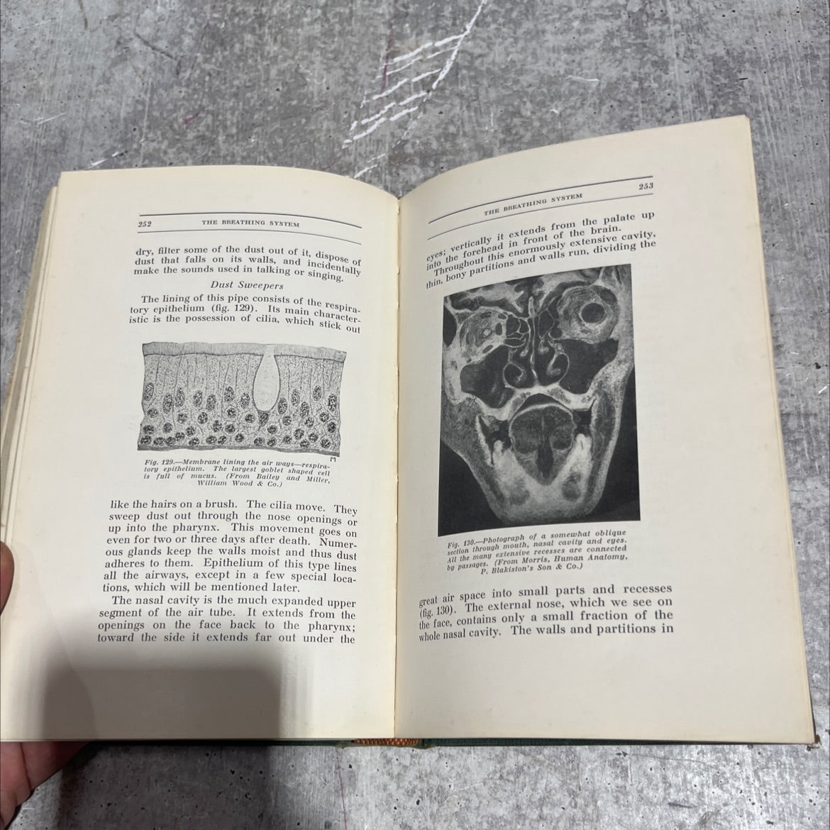 simple lessons in human anatomy book, by b. c. h. harvey, m.d., 1931 Hardcover image 4