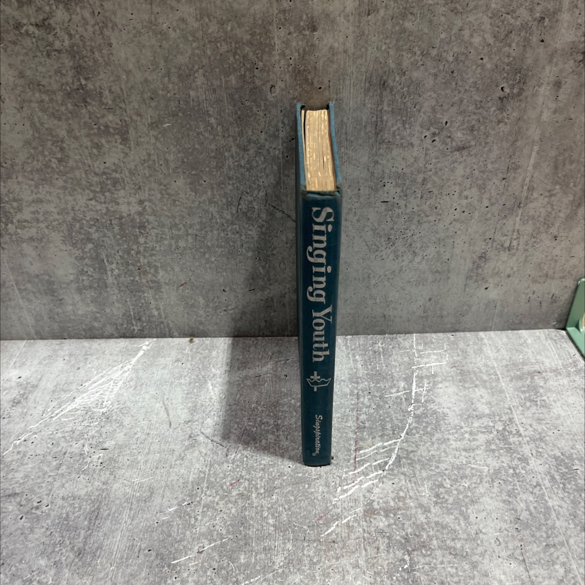 singing youth book, by john w. peterson, 1966 Hardcover image 3