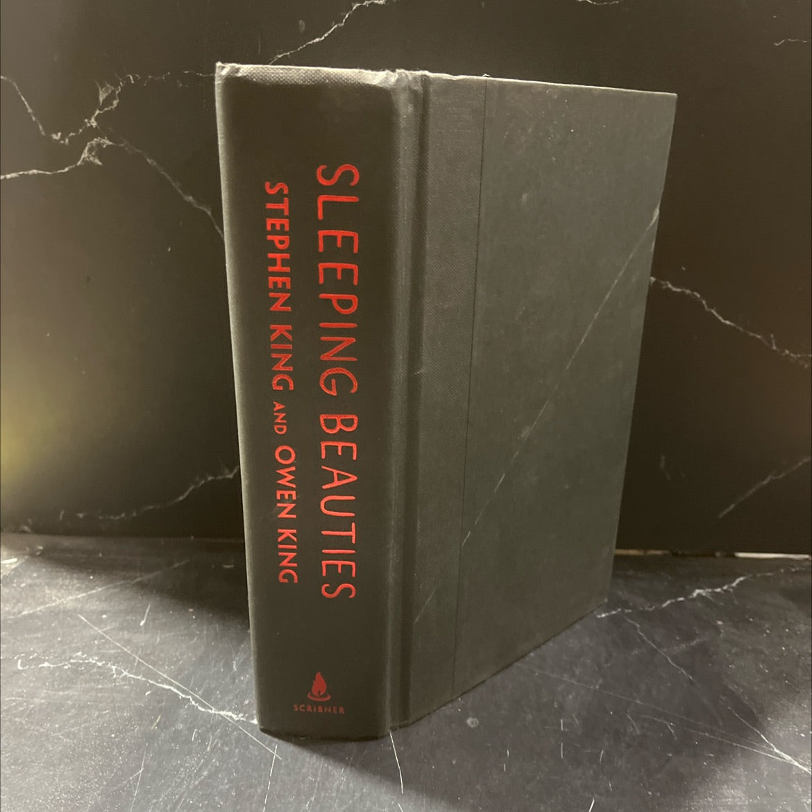 sleeping beauties book, by Stephen King and Owen King, 2017 Hardcover image 1