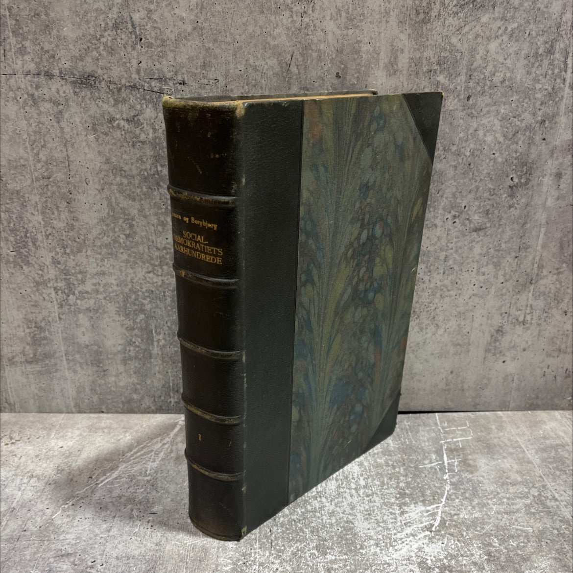 social democracy's century representations of the workers' movement history from the revolution 1789 to our days volume image 1