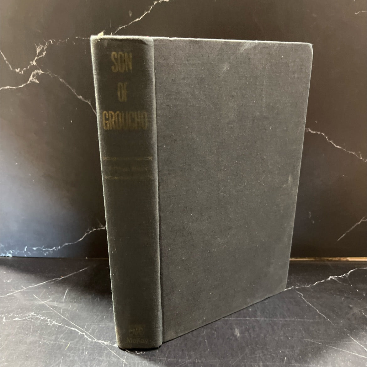 son of groucho book, by Arthur Marx, 1972 Hardcover image 1