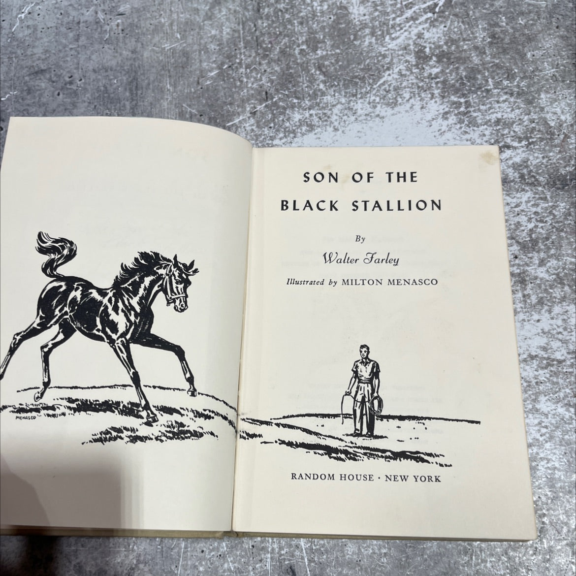 son of the black stallion book, by Walter Farley, 1947 Hardcover image 2