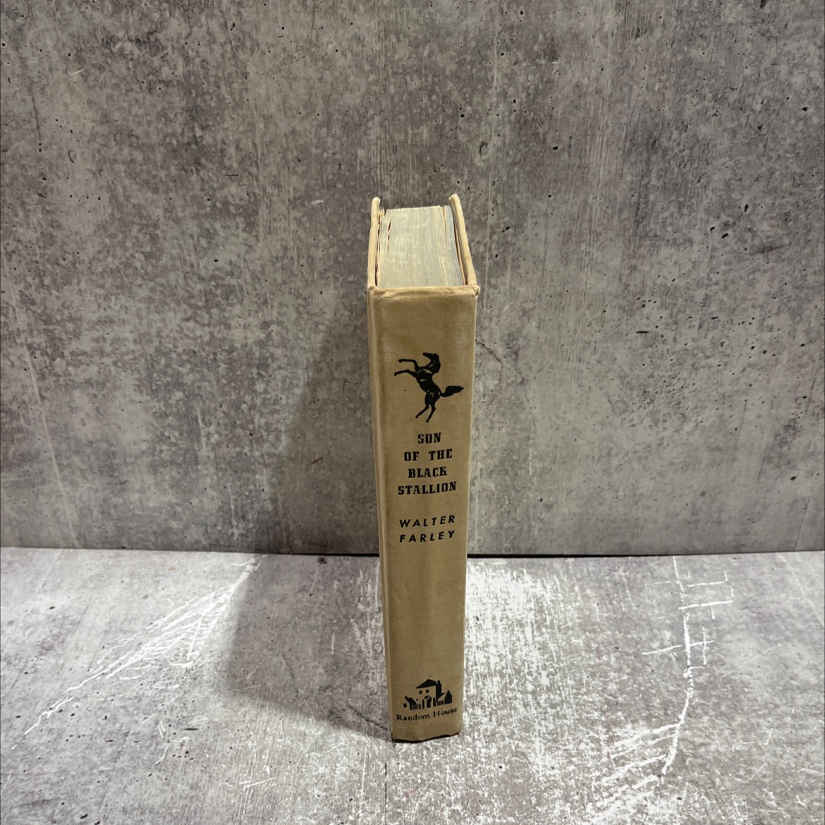son of the black stallion book, by Walter Farley, 1947 Hardcover image 4