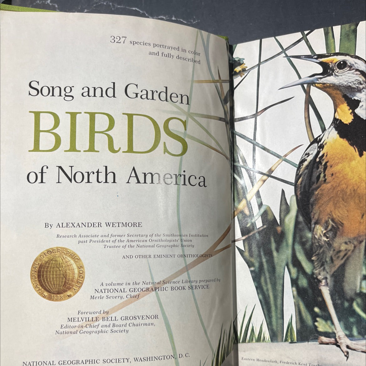 song and garden birds of north america book, by alexander wetmore, 1975 Hardcover image 2
