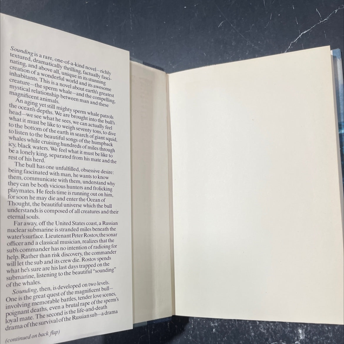 sounding book, by Hank Searls, 1982 Hardcover image 4