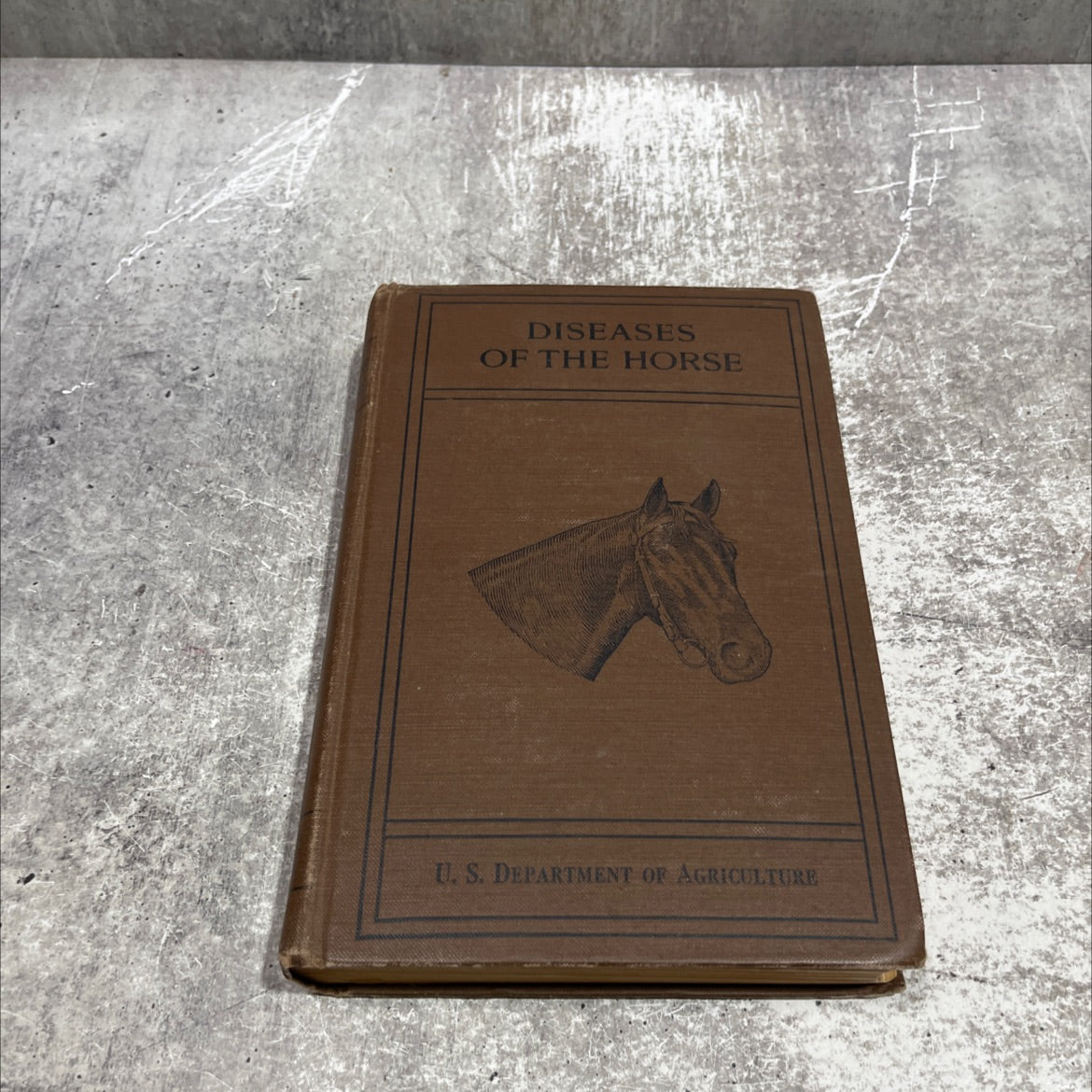 special report on diseases of the horse book, by U. S. Department of Agriculture, Bureau of Animal Industry, 1923 image 1