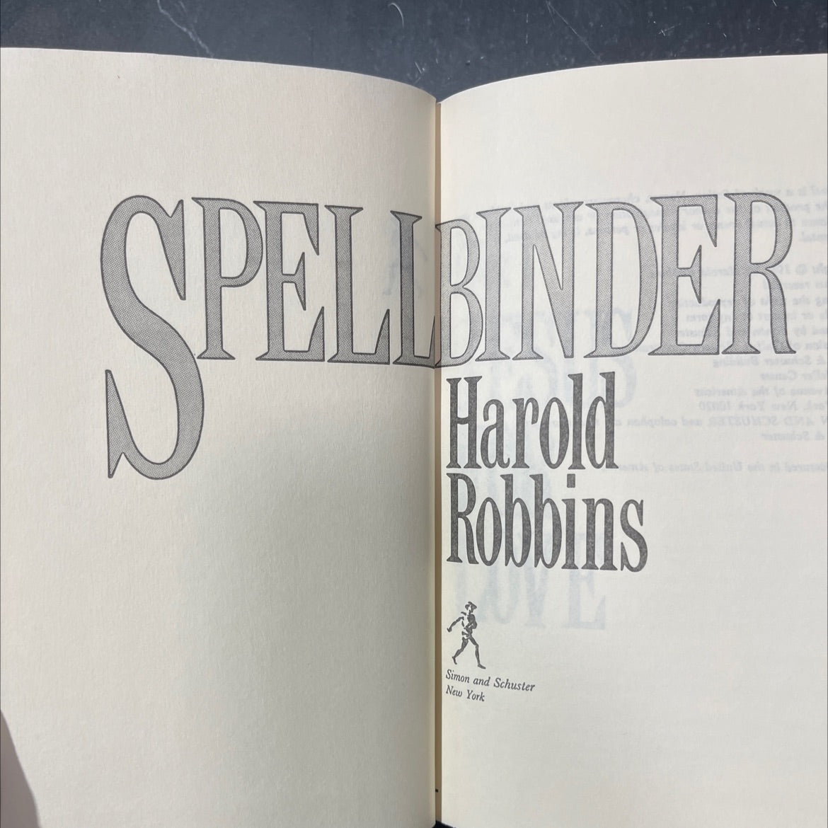 spellbinder book, by harold robbins, 1982 Hardcover image 2