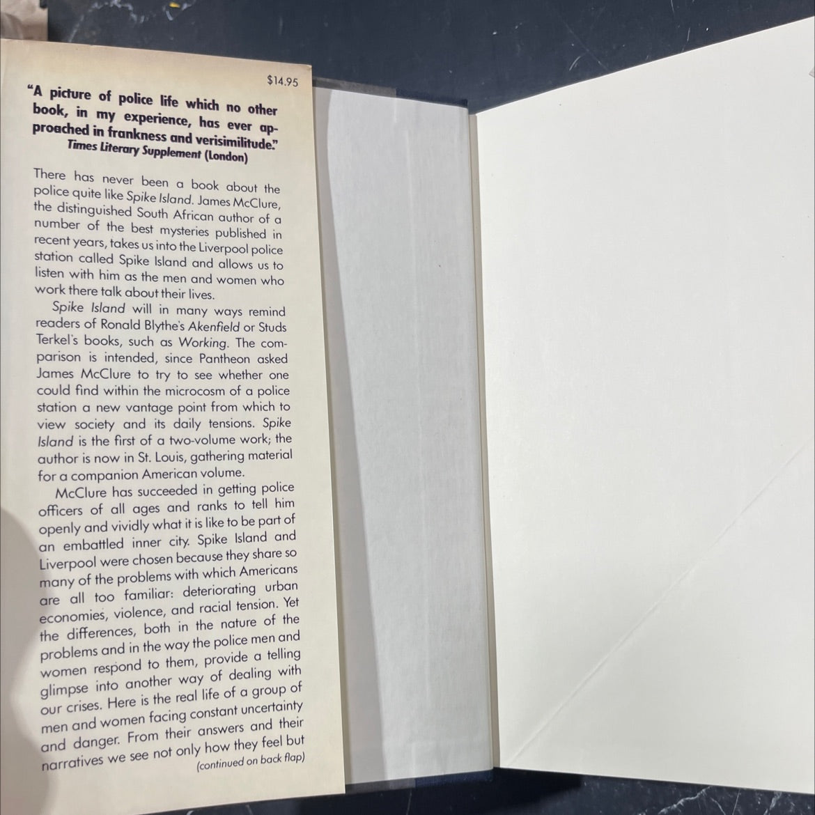 spike island portrait of a british police division book, by james mcclure, 1980 Hardcover image 4