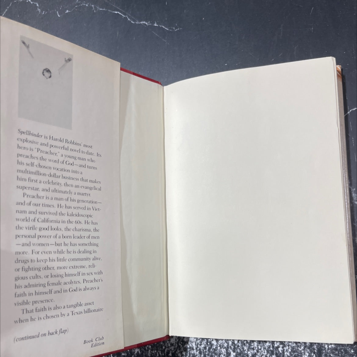 splender book, by Harold Robbins, 1982 Hardcover image 4