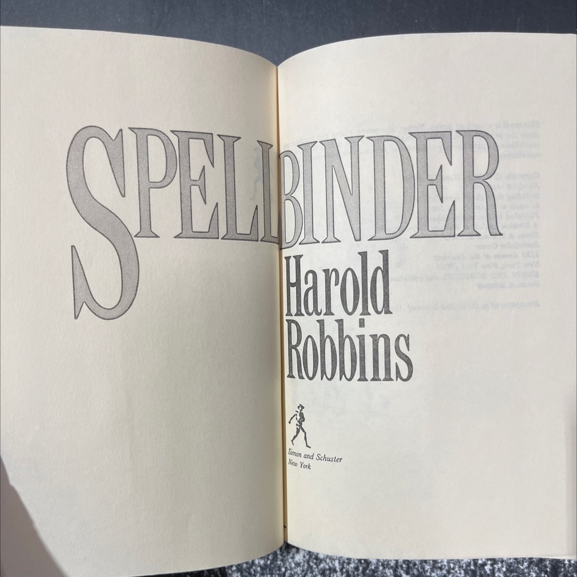 splender book, by Harold Robbins, 1982 Hardcover image 2