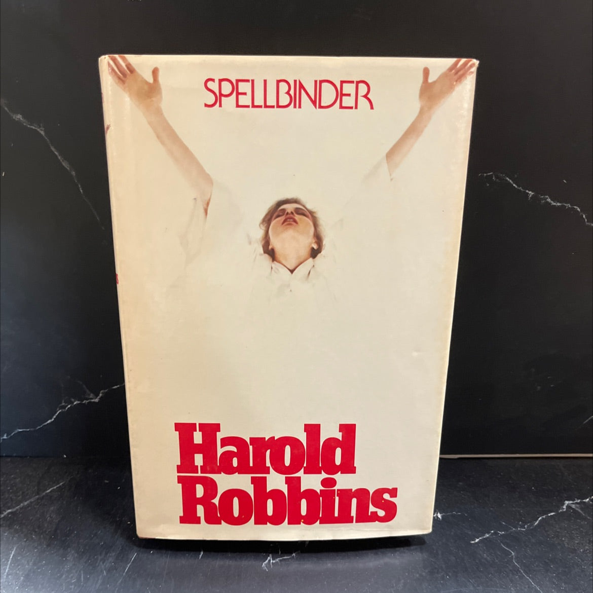 splender book, by Harold Robbins, 1982 Hardcover image 1