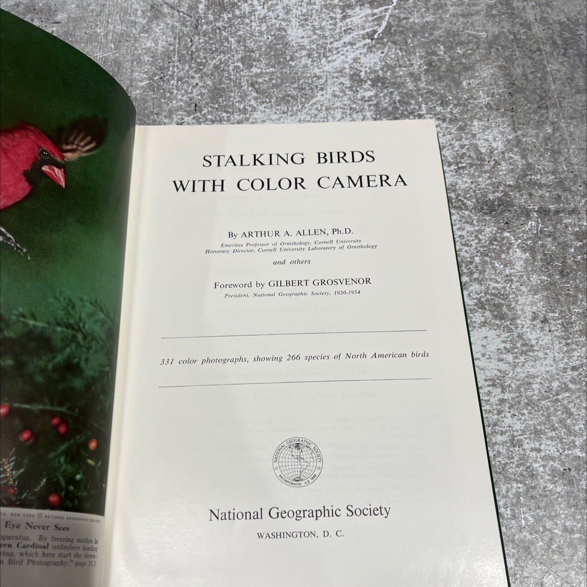 stalking birds with color camera book, by arthur a. allen, ph.d., 1961 Hardcover image 2