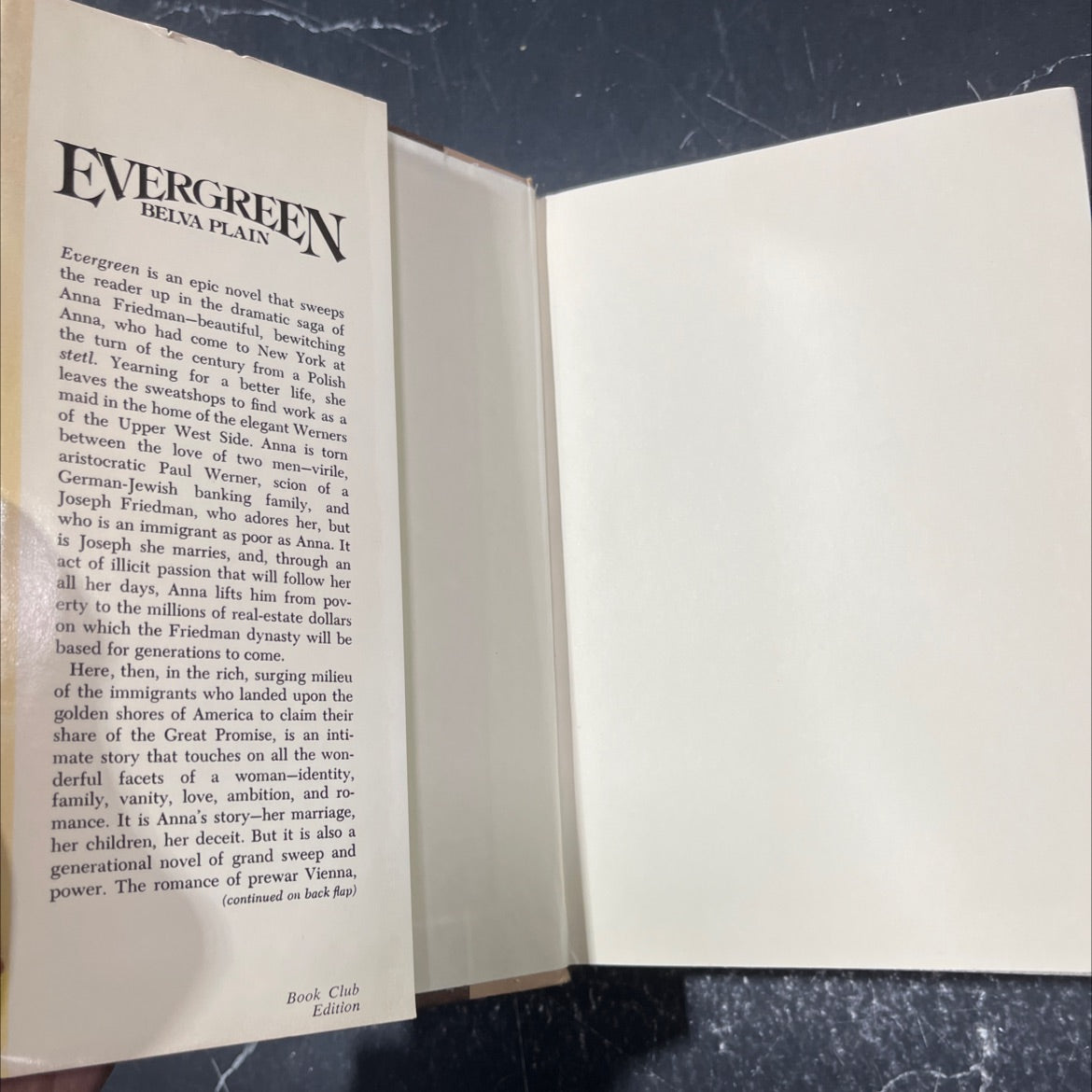 steve evergreen a novel book, by walya diler coitos el bue totoup d belva plain, 1978 Hardcover image 4