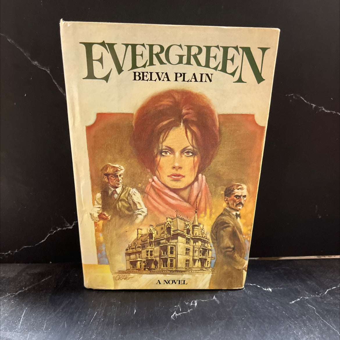 steve evergreen a novel book, by walya diler coitos el bue totoup d belva plain, 1978 Hardcover image 1