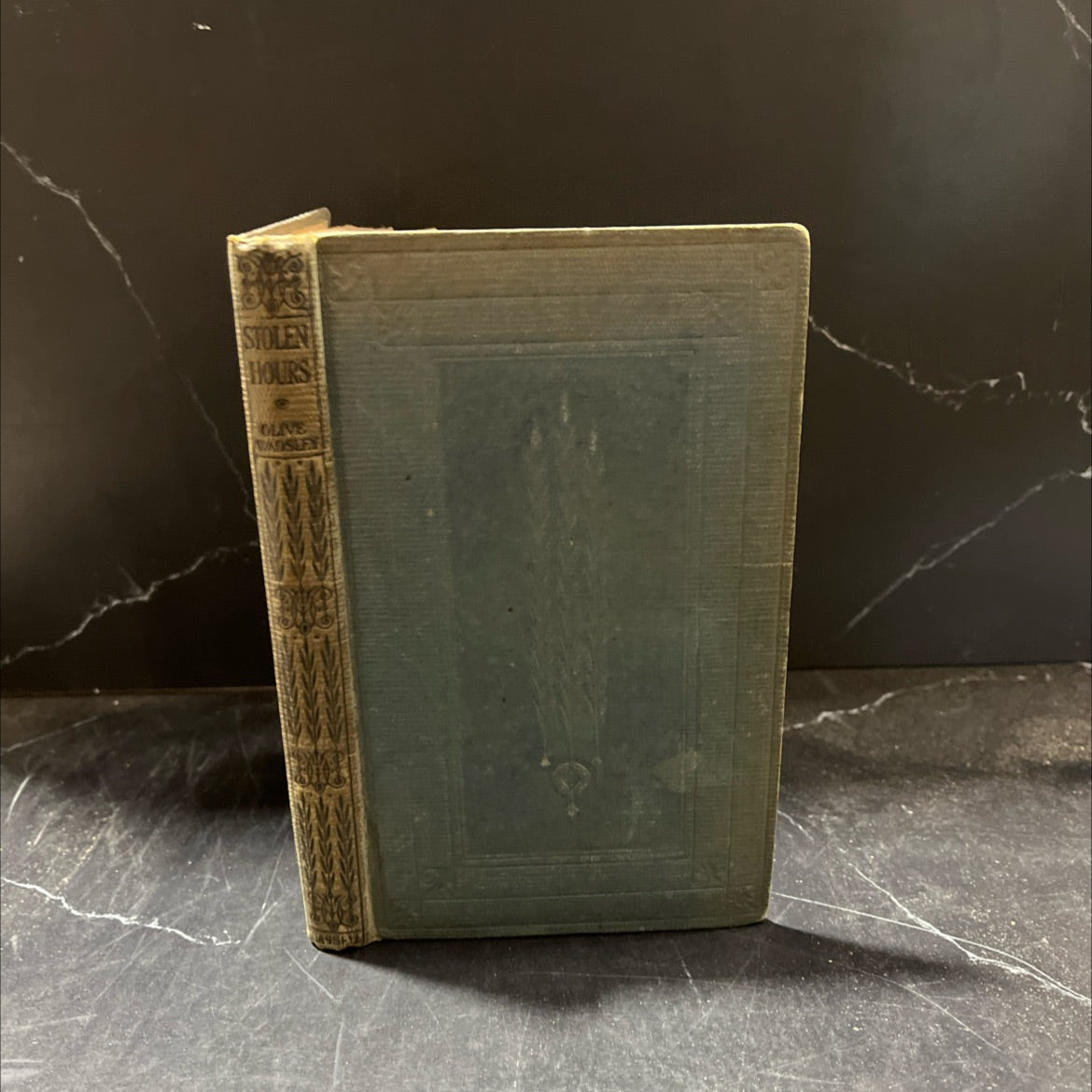 stolen hours book, by Olive Wadsley, 2001 Hardcover image 1