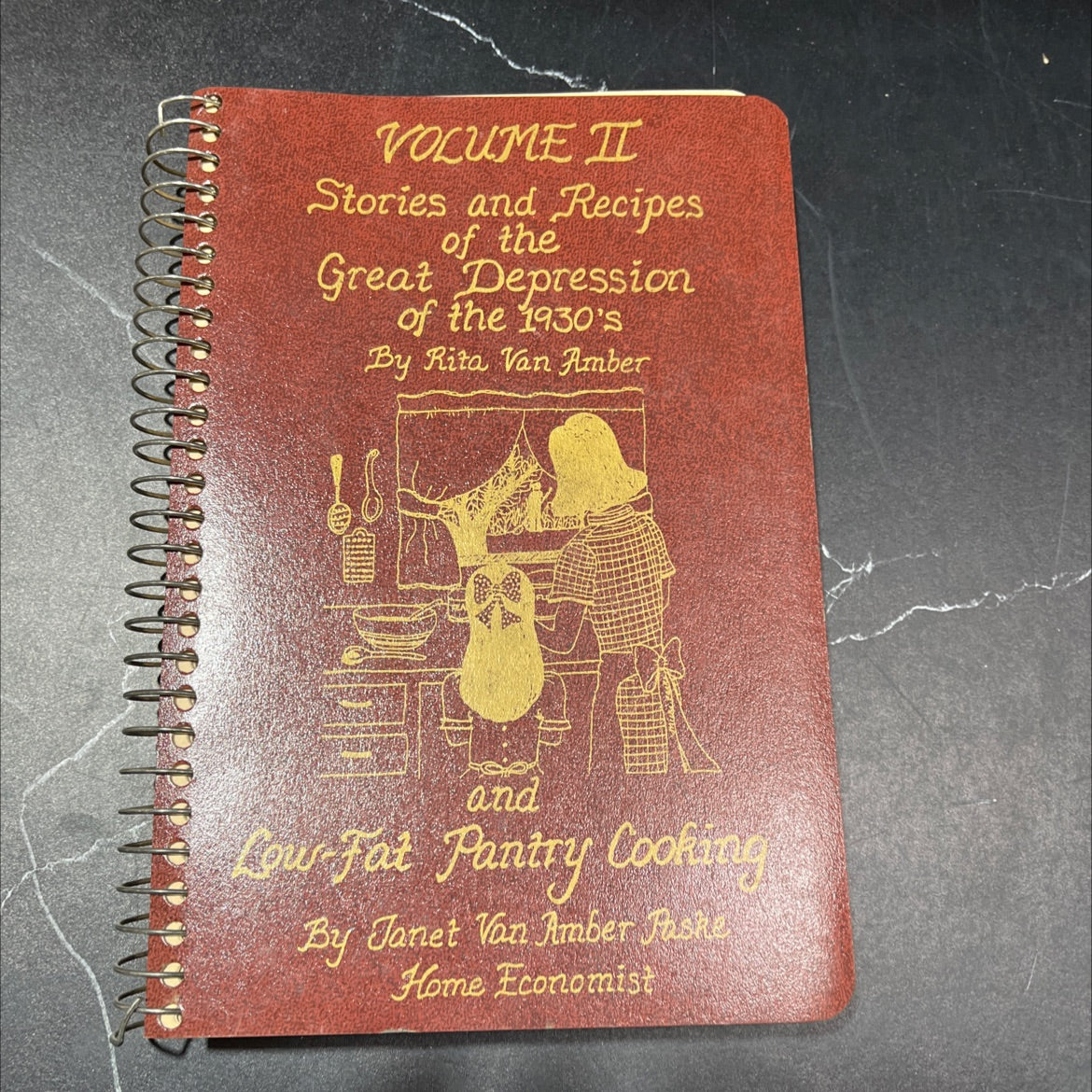 stories and recipes of the great depression of the 1930's book, by Rita Van Amber, 1993 Paperback image 1
