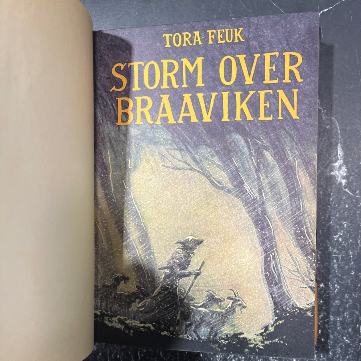 storm over braaviken book, by tora feuk, 1970 Leather image 2